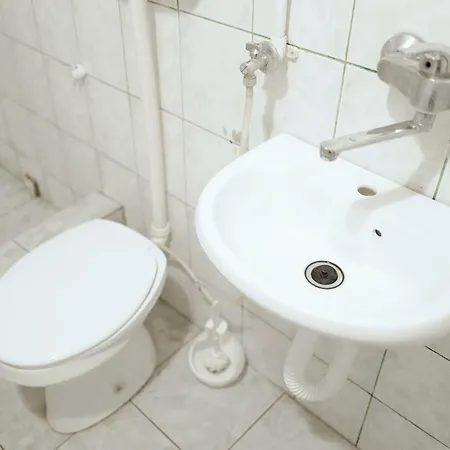 Happy Cat Old Town * 베오그라드