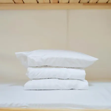 Happy Cat Old Town بيت شباب *