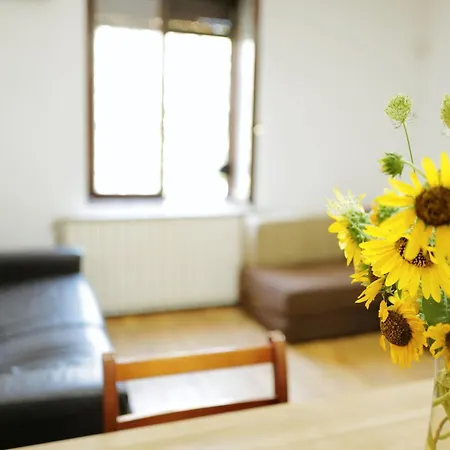 Happy Cat Old Town بلغراد