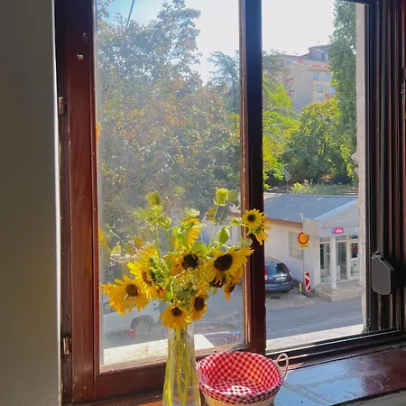 Happy Cat Old Town Vandrerhjem *